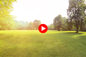 Video München.TV Thema Grundstücke