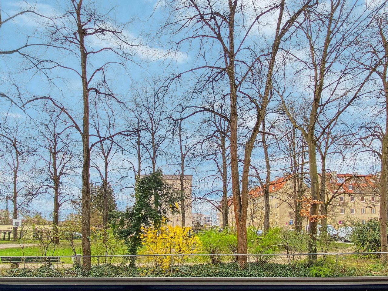 Blick aus dem Fenster