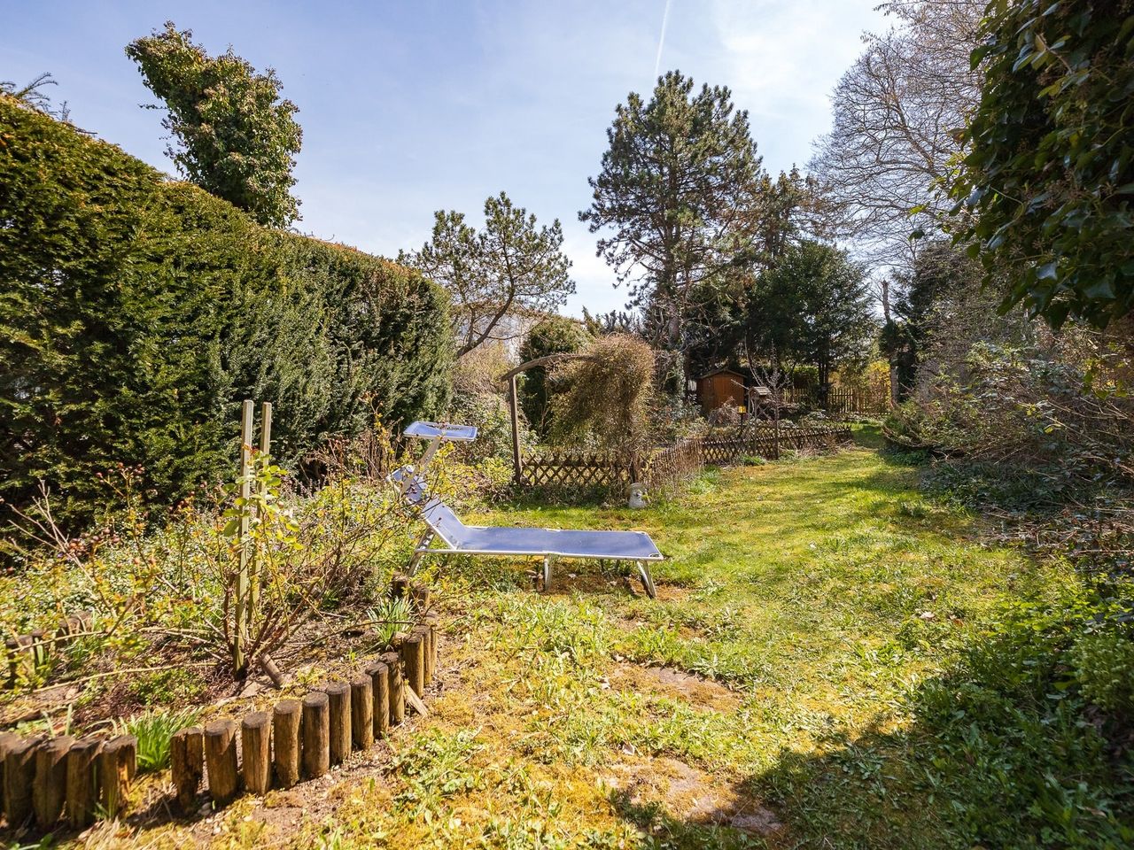 Blick in den Garten
