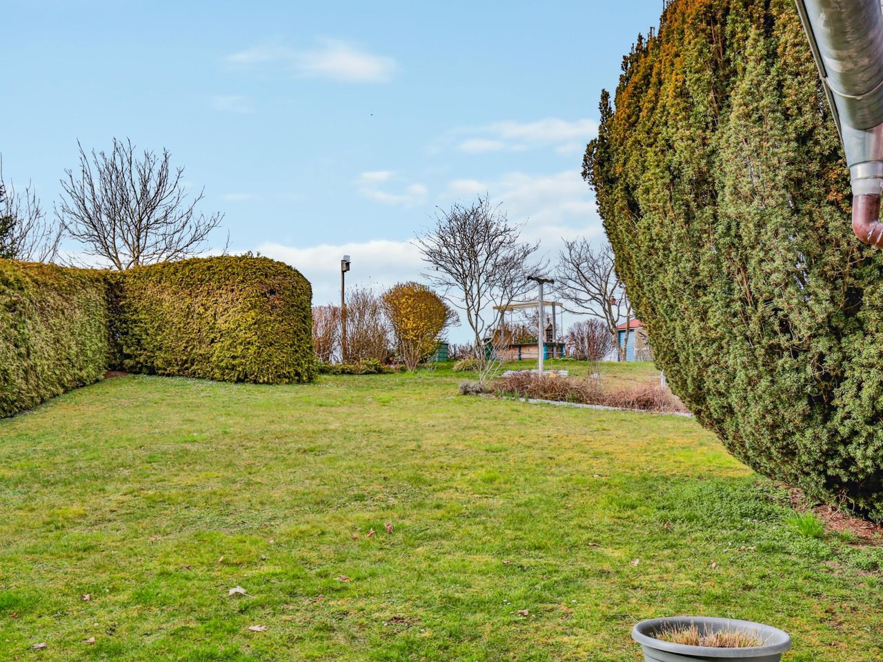Blick in den Garten