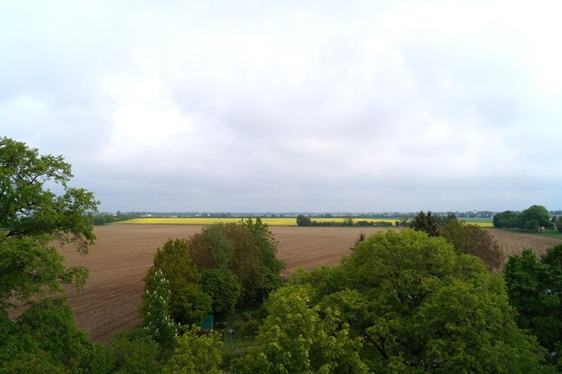 Blick Wohnzimmer