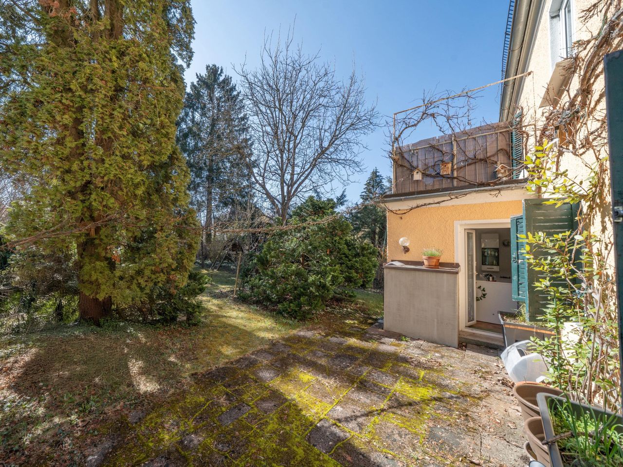 Blick in den Garten