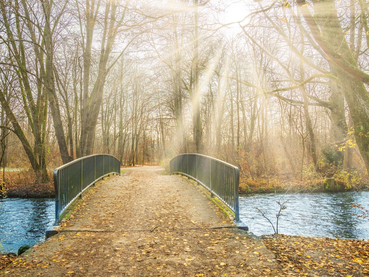 Englischer Garten