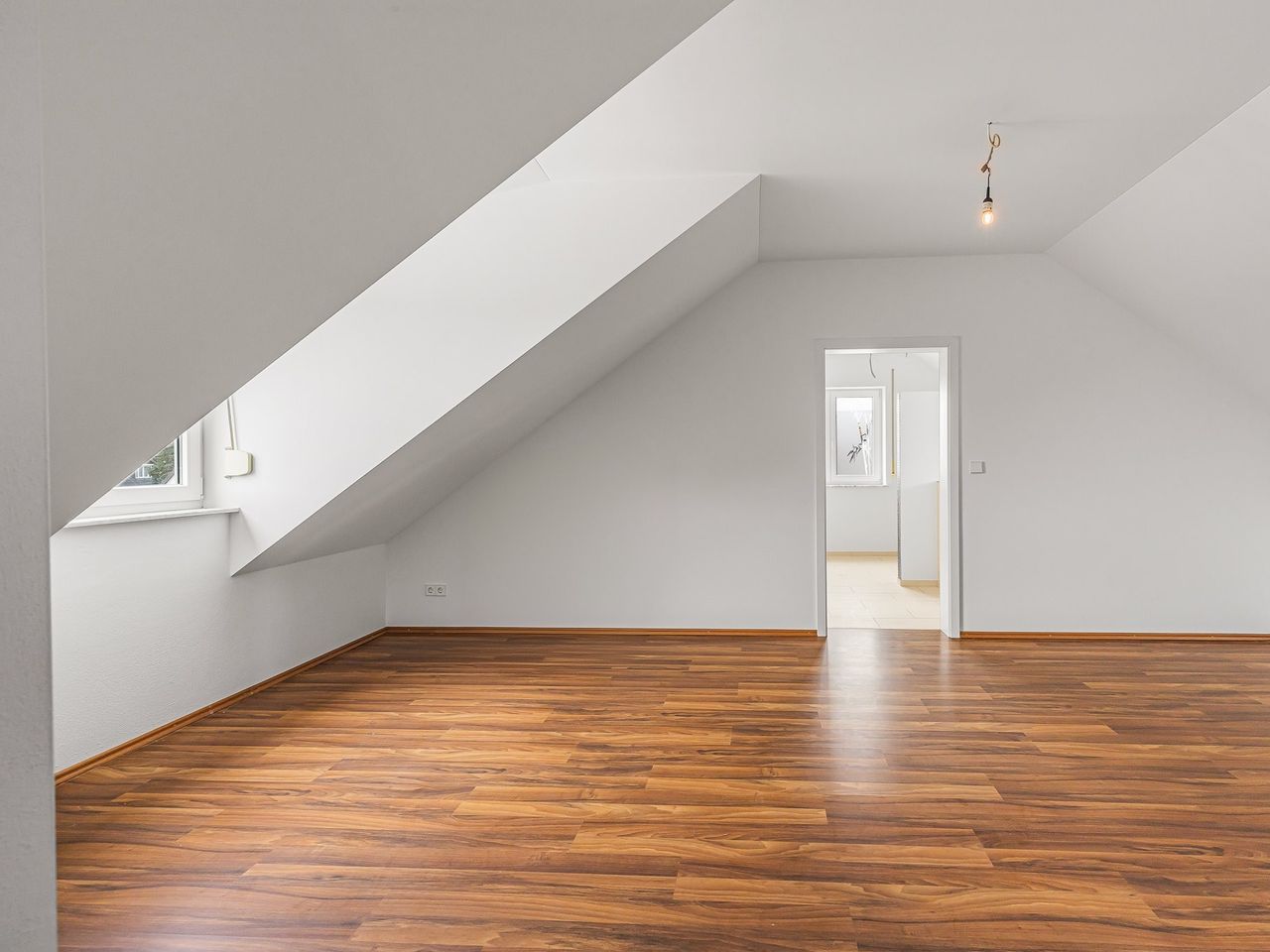 Zimmer DG