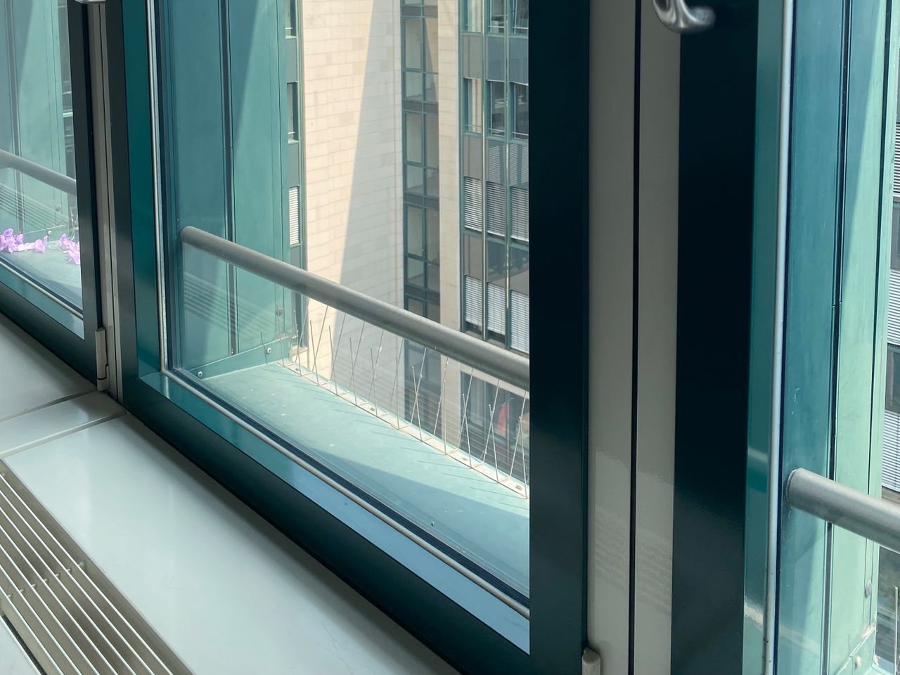 Fenster