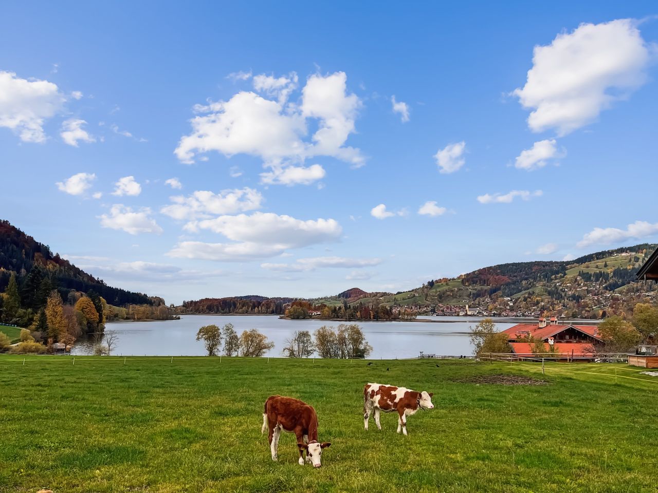 Ausblick auf den See