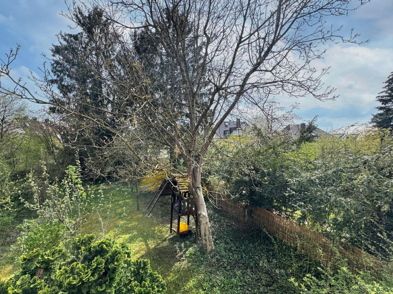 Blick in die Natur
