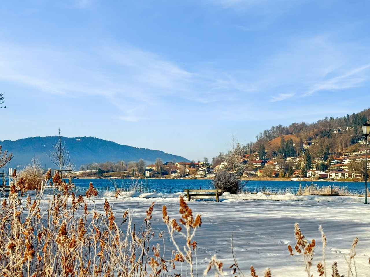 Blick vom Garten auf den See