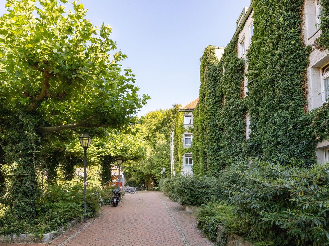 Hofzugang