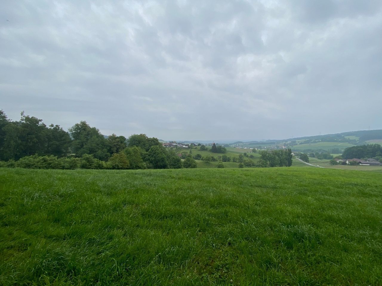 Natur Pur