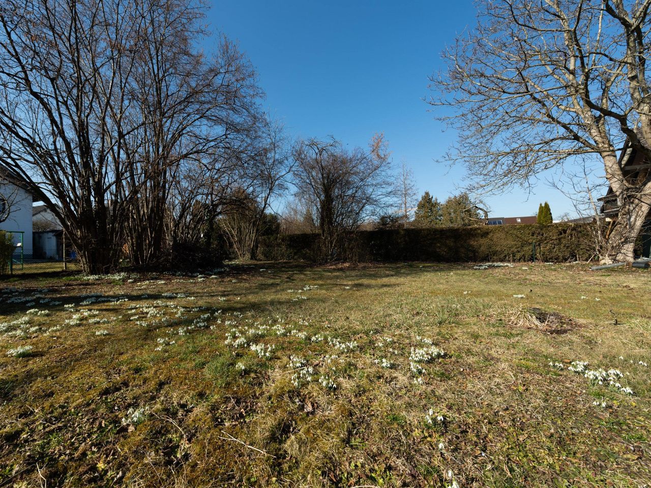 Blick in den Garten