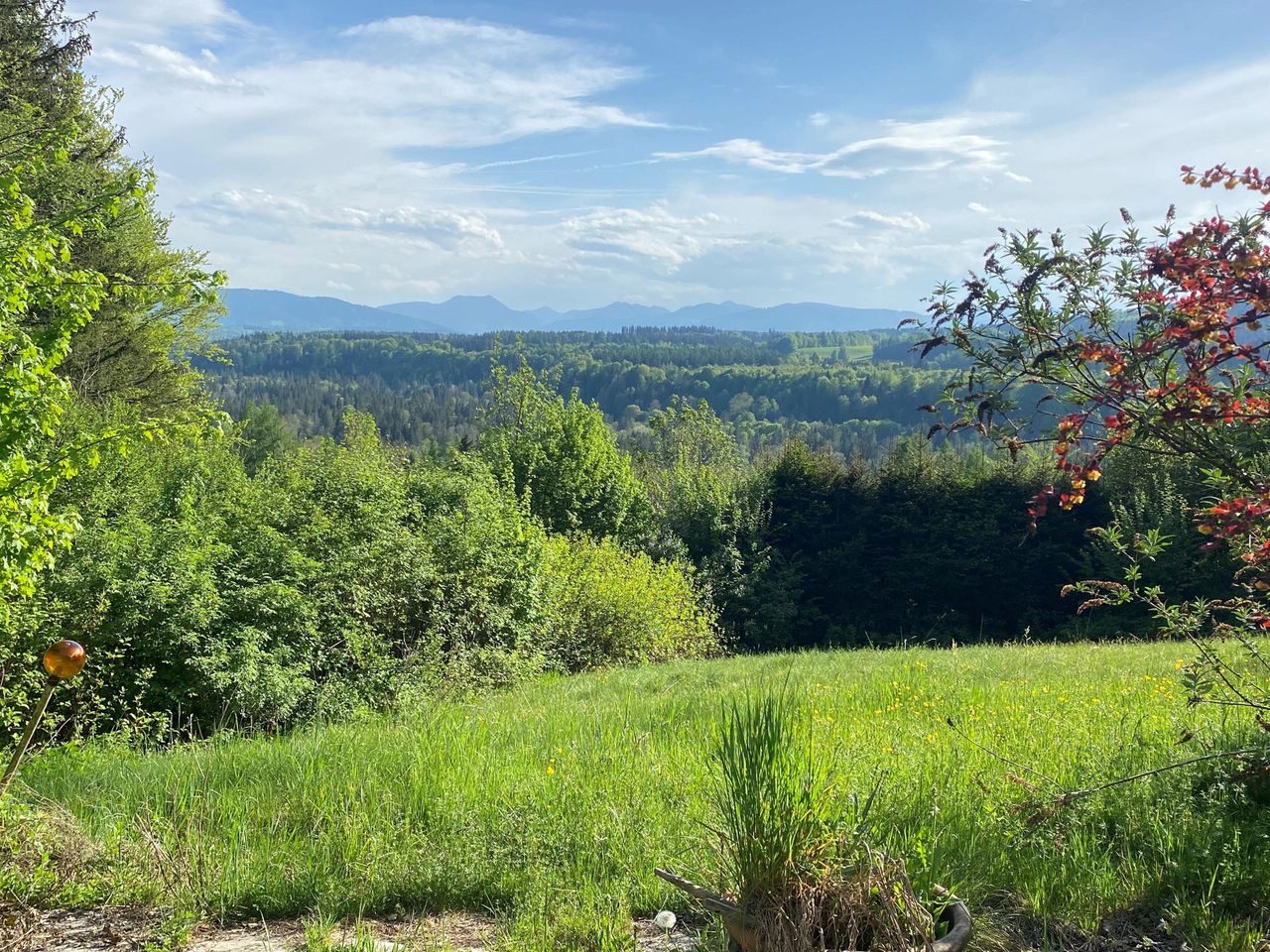Blick von der Terrasse