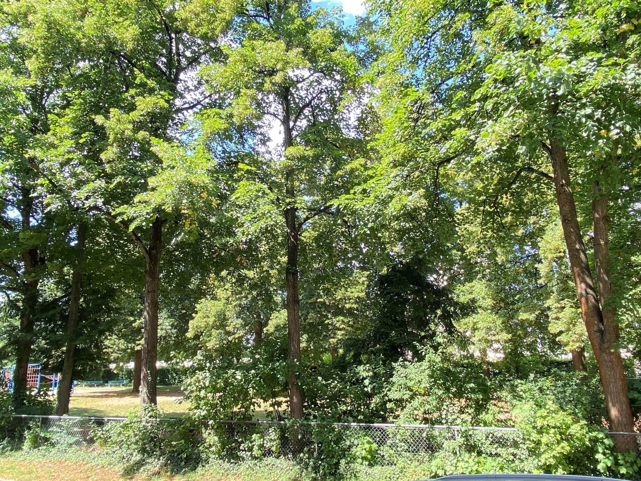Blick aus dem Küchenfenster