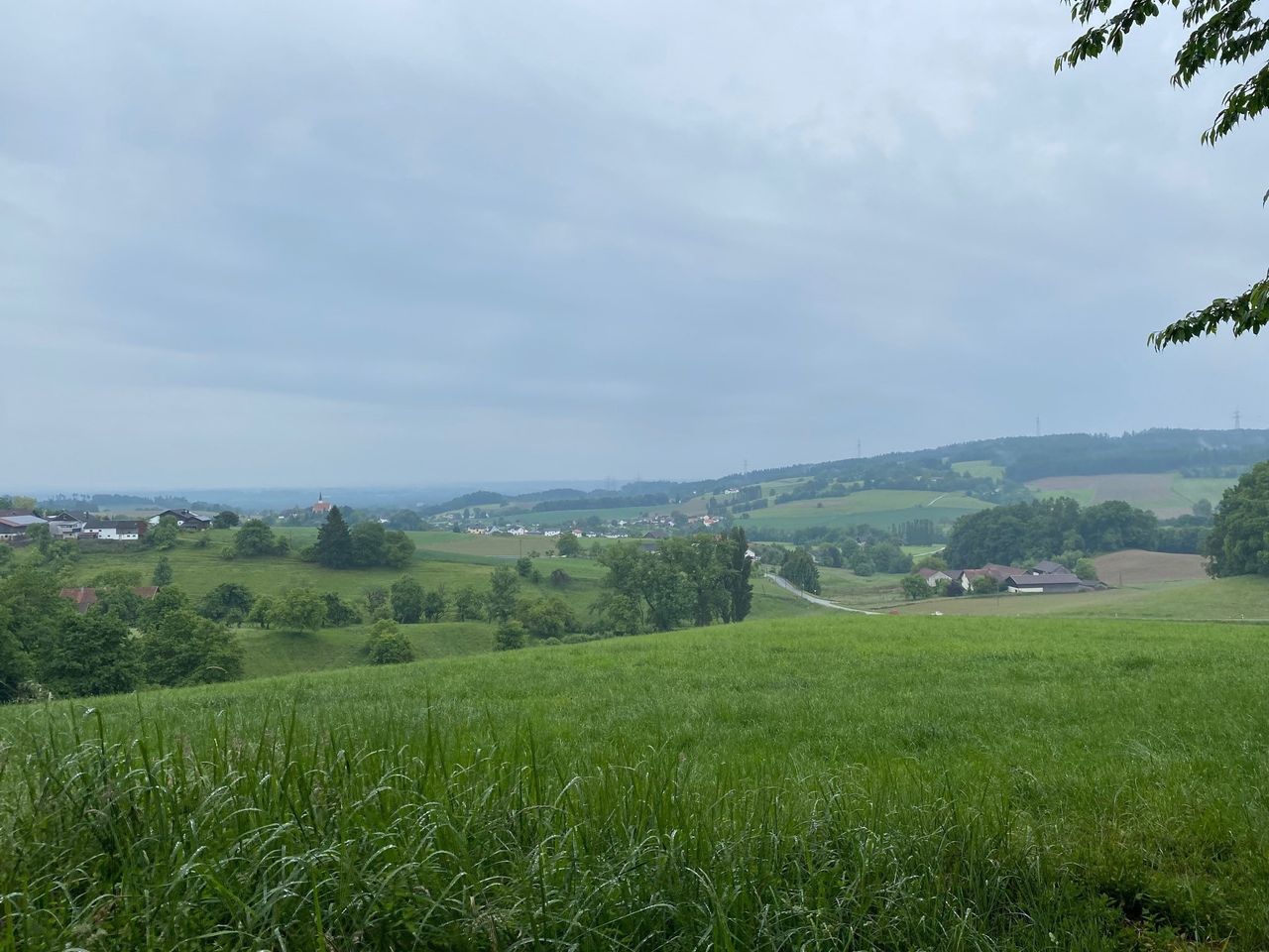 Ausblick